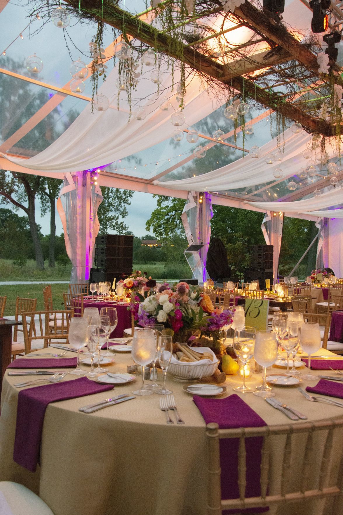 An Enchanted Evening in Forest Park